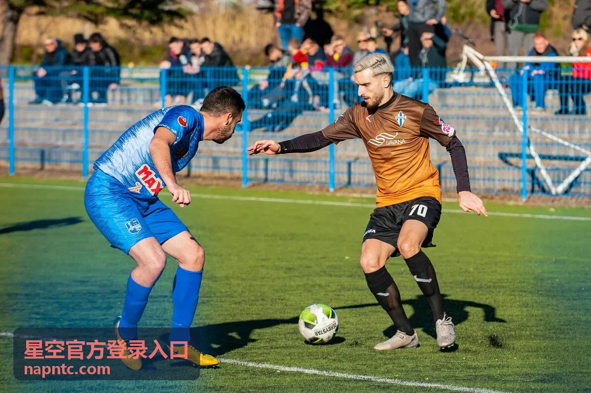 星空官方登录入口服务支持中心入口核对受理场景