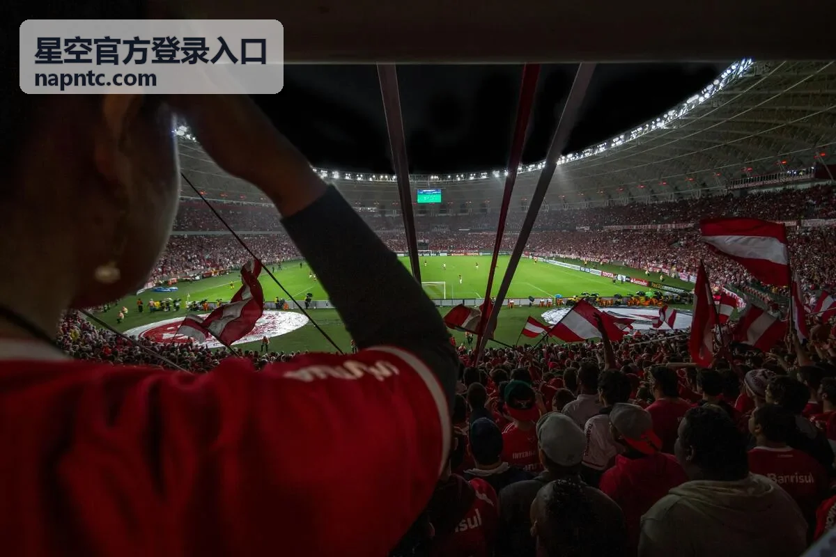 移动端星空官方登录入口安全验证场景